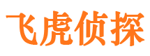 兴文市调查公司